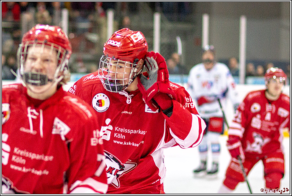 DNL-Playofffinale; Junghaie Koeln - Jungadler Mannheim, 20.03.2019